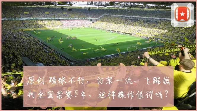 原创 踢球不行,打架一流,飞踹裁判全国禁赛5年,这样操作值得吗?