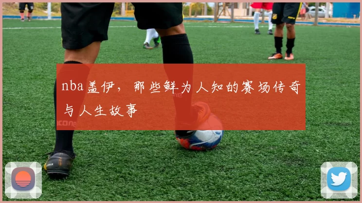 nba盖伊,那些鲜为人知的赛场传奇与人生故事